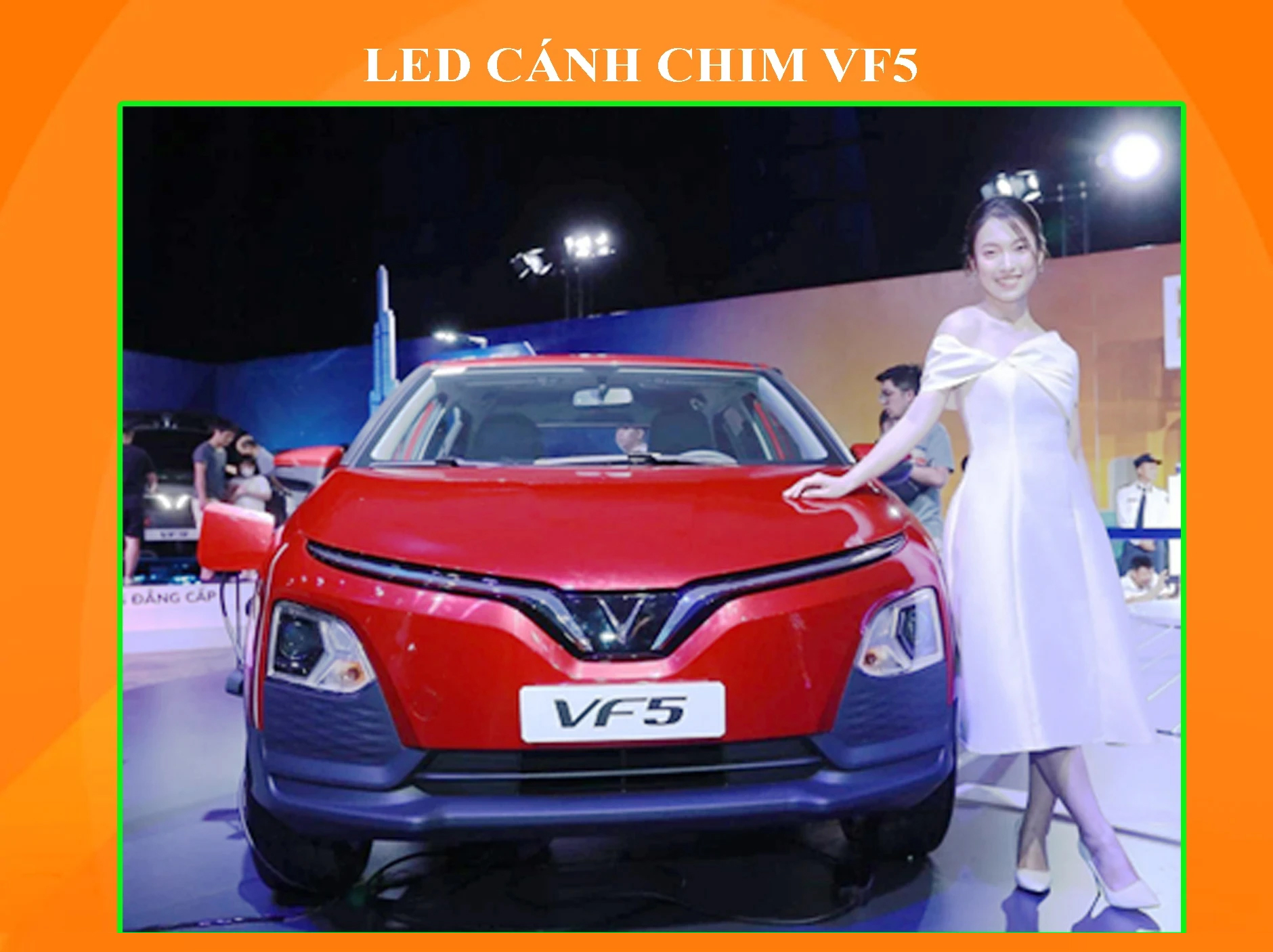 LED Cánh Chim VF5